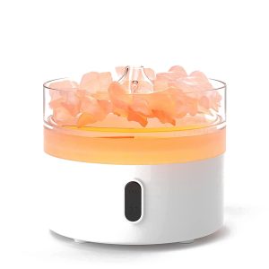 220ml 4-in-1 Aromatherapy Oil Diffuser Himalayan Salt Lamp