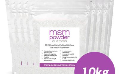 10kg MSM Powder